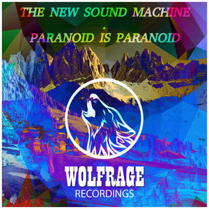 PARANOID IS PARANOID (Original Mix)