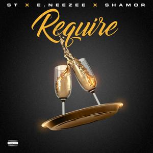 Require (feat. Wave City) [Explicit]