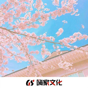 口是心非 (弹鼓版DJ)