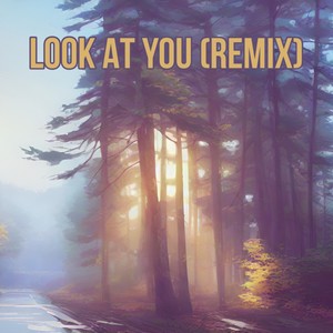 Look At You (Remix)