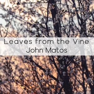 Leaves from the Vine