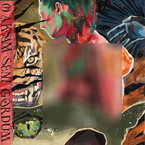 O Aksam Seni Gordum (feat. Tér & Arif Erdem Ocak)