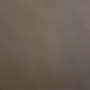 iWitness (BCB OG Version)