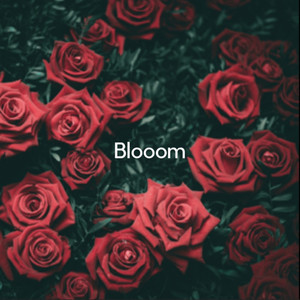 Blooom