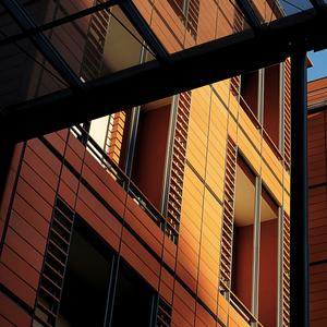 Still Between Buildings