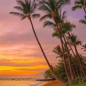 Skate Music (Explicit)