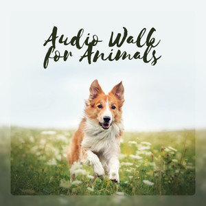 Audio Walk for Animals – Learn Your Puppy Relax, Embrace Dog, Pet Behaviourist, Soothing Therapy for Kitty