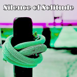 Silence of Solitude