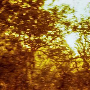 28 Places (feat. Sockjus) (Explicit)