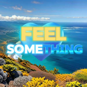 Feel Something (Explicit)