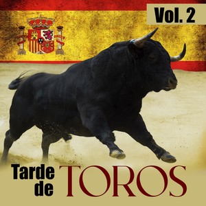 Tarde de Toros (VOL 2)