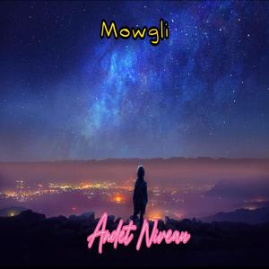 Andet Niveau (feat. Mowgli)