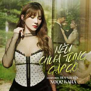 Nếu Chưa Từng Gặp Gỡ (Son2M Remix)
