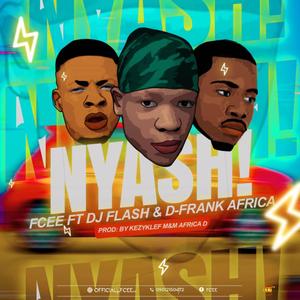 Nyash(feat. Dj Flash & D-Frank Africa)