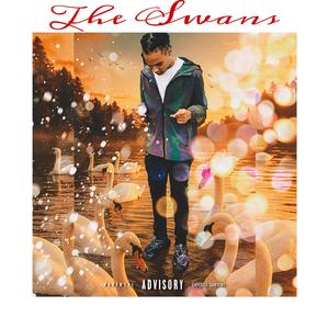 Pop Out With The Swans (Explicit)