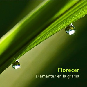 Diamantes en la Grama