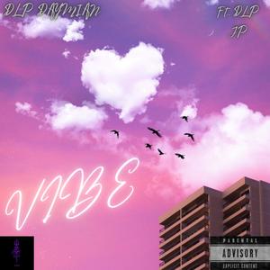 Vibe (feat. DLP JP) [Explicit]