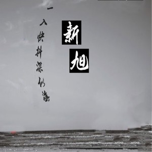 苹果手机铃声 (DJ版)