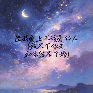 怪我爱上不该爱的人(放不下你又和你结不了婚)