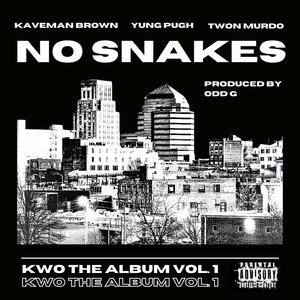 No Snakes (feat. Yung Pugh & Twon Murdo) (Explicit)