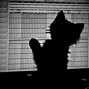 Llegare Ayer (COVER版)