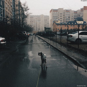 Пстпклптчск лето