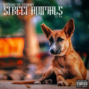 Street Animals (feat. Y.H.) [Explicit]