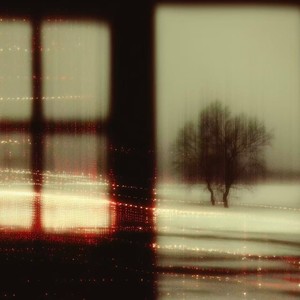 荒野 (微醺R&B版)