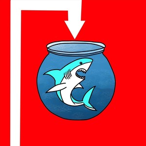 Left Right Bounce Down