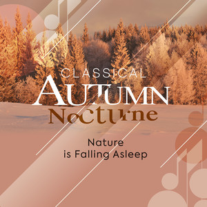 Classical Autumn Nocturne - Nature is Falling Asleep - Piano Sonata No. 17, Op. 31 No. 2: II. Adagio
