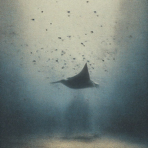 你问我 为什么顽固而专一-DJ小星Remix