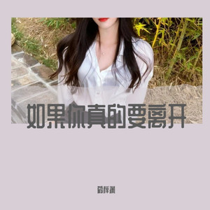 一城山水 (DJ版)