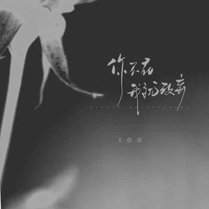 王佳音《你不在意我就放弃》[MP3_LRC]_MP3免费下载