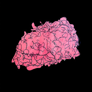 Entertainment Reigns Supreme