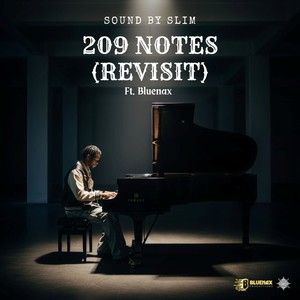 209 Notes (Revisit)