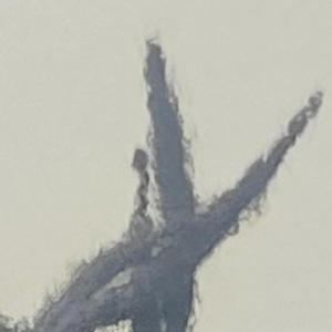 Soft Soft (Explicit)