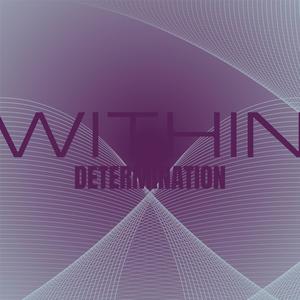 Within Determination