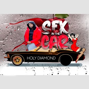 Sex in the Car (Explicit)