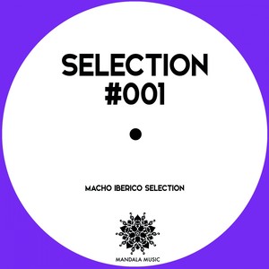 Selection 001