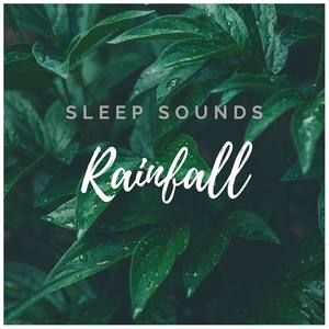 #Rain and #Forest Sounds for Sleep