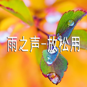 雨之声-放松用