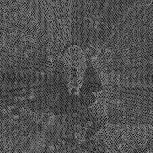 Läbi Kaldus Koridori (Explicit)