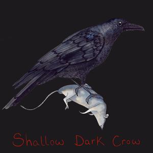 Shallow Dark Crow