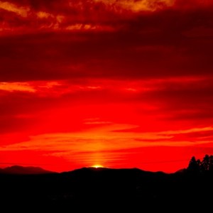 いつもこの場所にいる