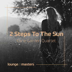 2 Steps To The Sun