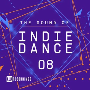 The Sound Of Indie Dance, Vol. 08