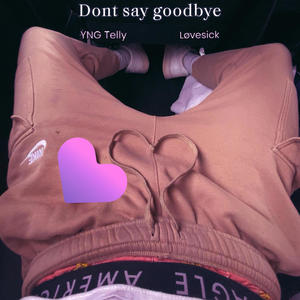 Don't say goodbye (feat. Løvesick) (Radio Edit)