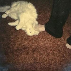 Scaredy Cat (Explicit)