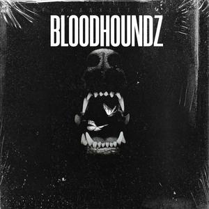 Bloodhoundz (feat. Anxietyserum)