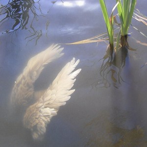 疤痕体 「Prod.Eee.T xBickyBoy」